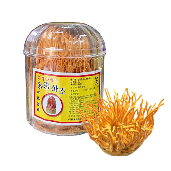 Đông Trùng Hạ Thảo Tươi Hàn Quốc